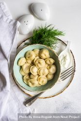 Top view of bowl of comforting Russian dumplings with salt and pepper shakers 4mWgYW