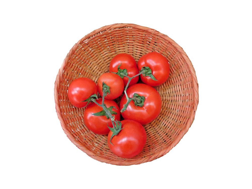 Tomatoes In The Kitchen On Plain Background