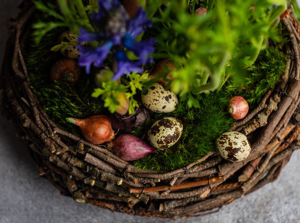 Spring floral composition with decorative quail eggs