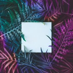Tropic purple leaves layout with paper card