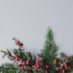 Christmas background made of branches and red berries on grey background