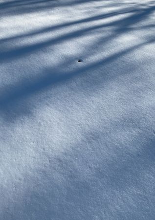 Shadows on snow