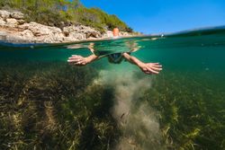 Person swimming in snorkeling mask in sea