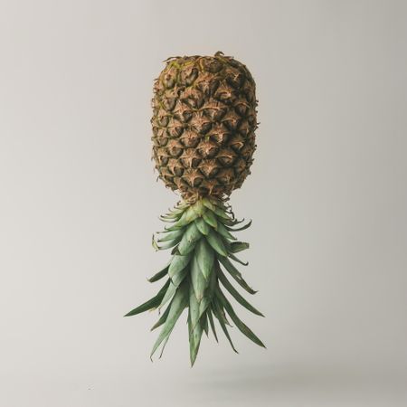 Upside down pineapple on light background