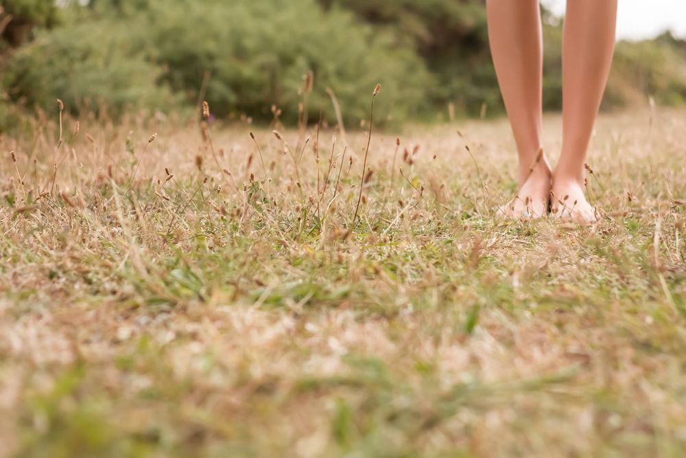 Young female legs walking on the grass