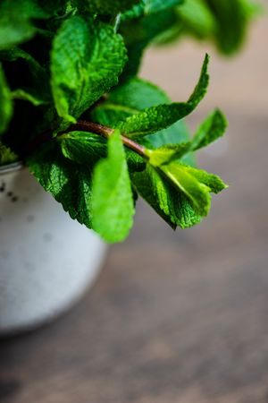Organic mint leaves in ceramic pot on table