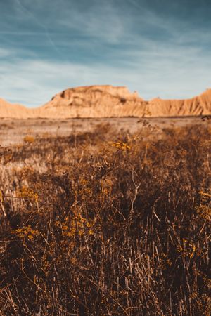Picturesque sandy cliffs in sunlight
