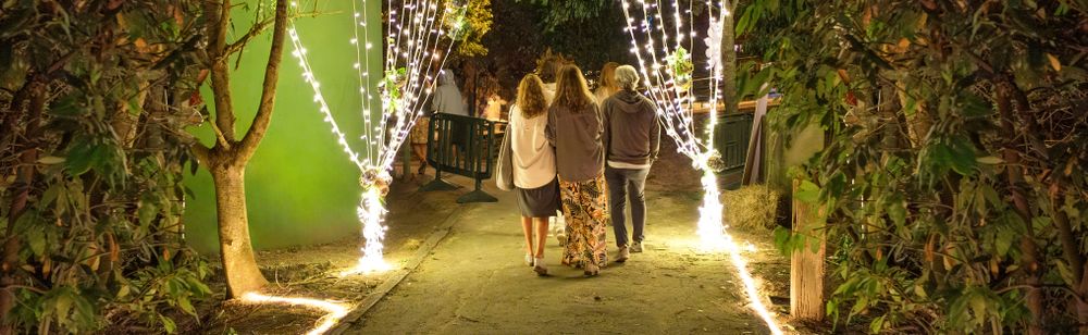 Friends group walking for pathway on a summer night music festival in nature