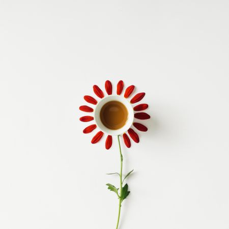 Coffee cup and flower petals