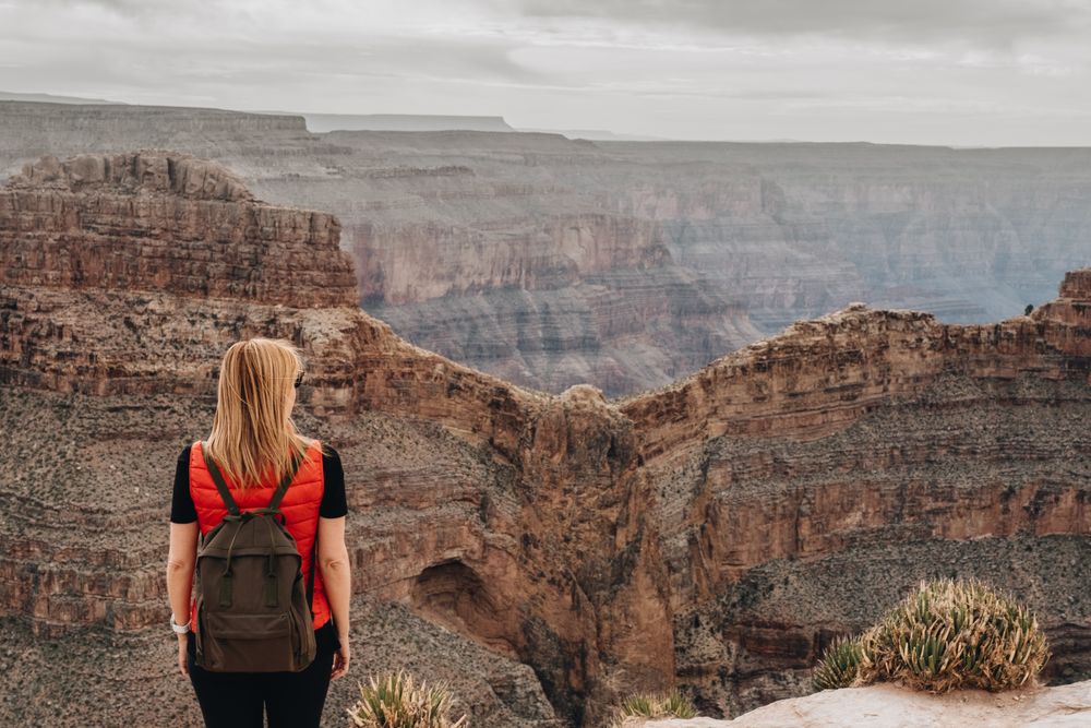 Calm female looking at pictorial landscape