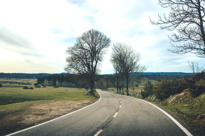 Empty road leading through leafless forest