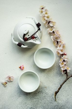 Top view of Asian style table setting with delicate apricot blossom around tea pot and cups