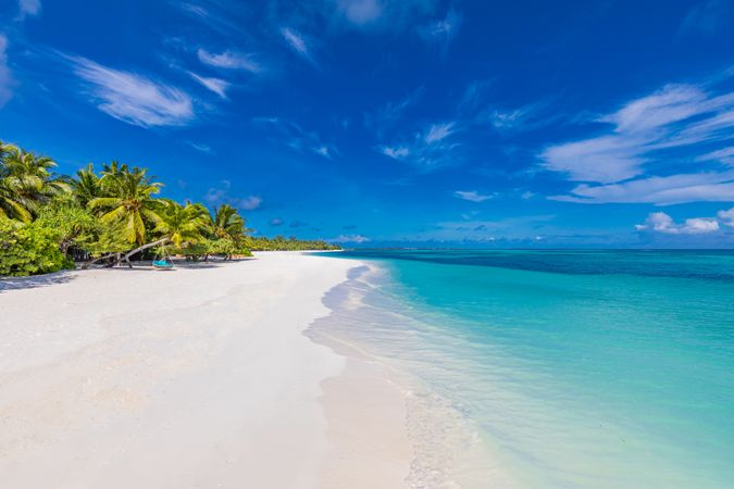 An idyllic beach with palm trees and clear waters