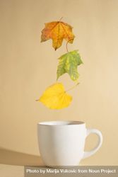 Three autumn yellow leaves floating above a cup 56qxY0