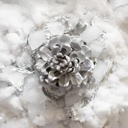Top of a light pine cone on snowy background