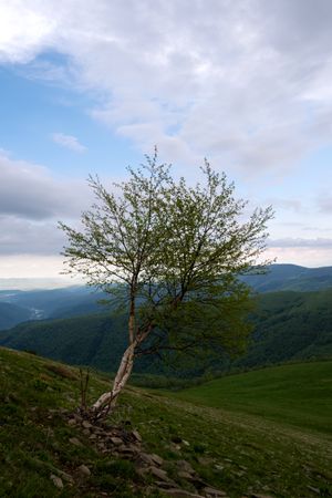 Winding dirt path along hillside with view of distant mountains.