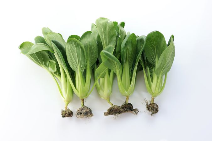 Fresh Bok Coy with Roots