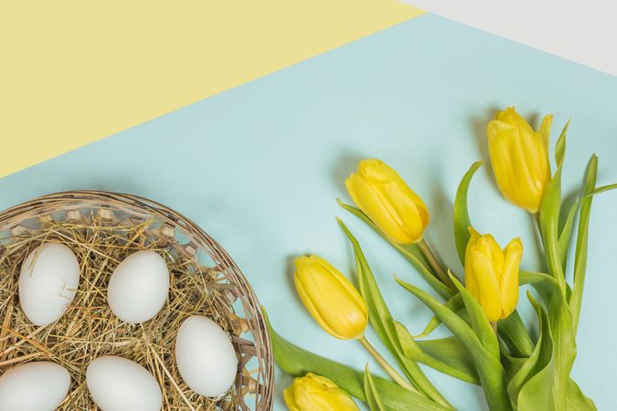 Fresh yellow flowers and easter eggs with green leaves