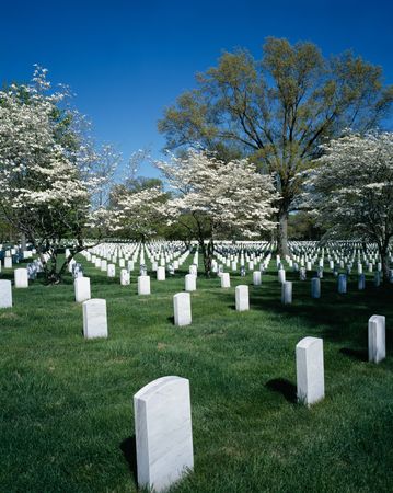 Springtime view of Arlington National Cemetery, Arlington, Virginia