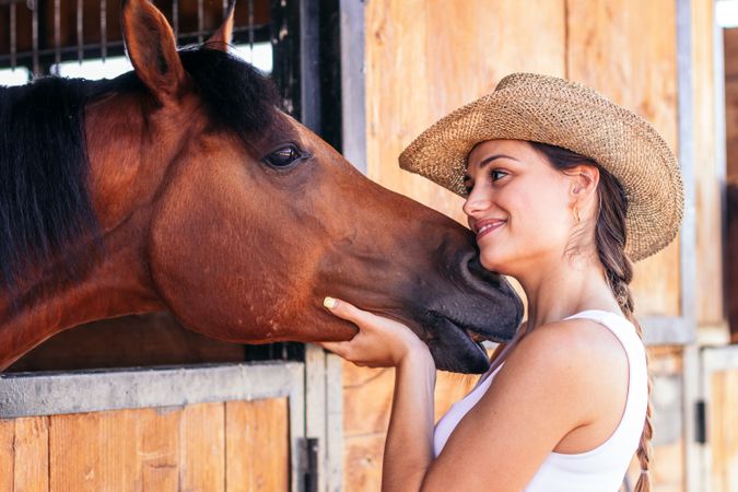 Woman taking care of his brown horse in the stable