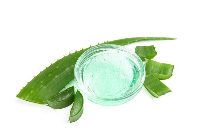Composition with natural treatment accessories isolated on blank background. Aloe vera