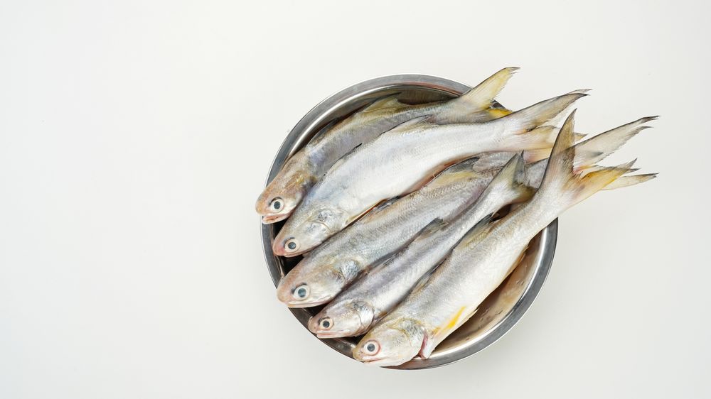 Yellow Croaker Fish, Ikan Ekor Kuning, served on stainless bowl