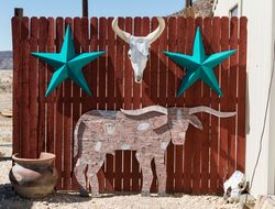 Long horns and colorful lone star on fence in the Terlingua settlement, Texas E4AYz4