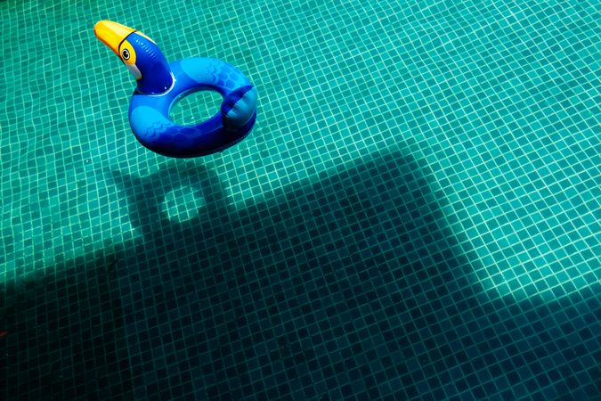 Toucan pool ring with shadows