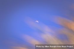 Crescent moon in clear blue sky bD3JJ4