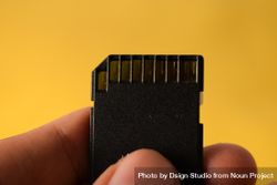 Close up of SD card in hand 426gN1