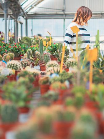 Female customer choosing flowers in greenhouse