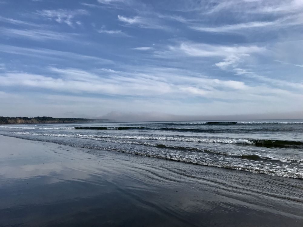 Seashore during daytime