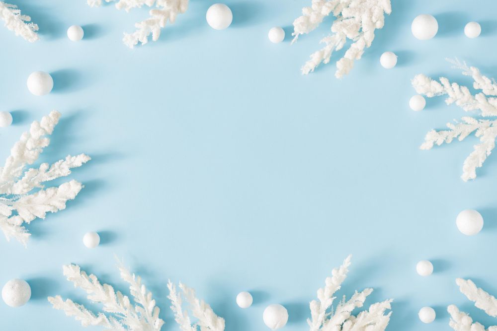 Snowy Christmas tree branches on pastel blue background - Free Photo  (5opz84) - Noun Project