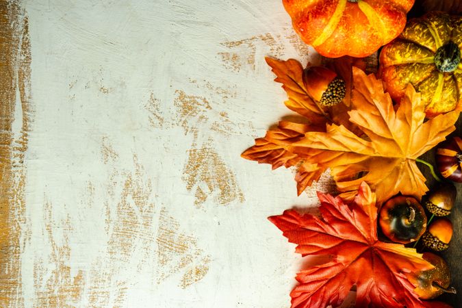 Rustic background flatlay with autumn leaves and nuts
