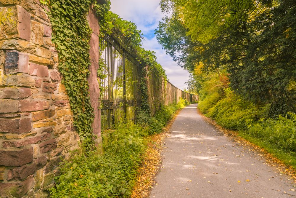 Path between autumnal forest and stone wall