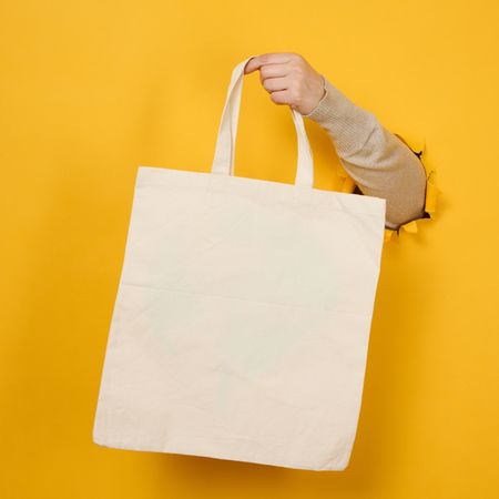 totebag mock up