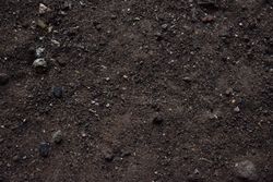 Texture of muddy ground