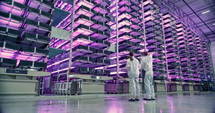 Work at an Advanced Vertical Farm WIth LED UV Lights. Two Facility Workers Discussing Business, Using Tablet Computer while Monitoring Farming Produce Optimization for Increased Agricultural Yields