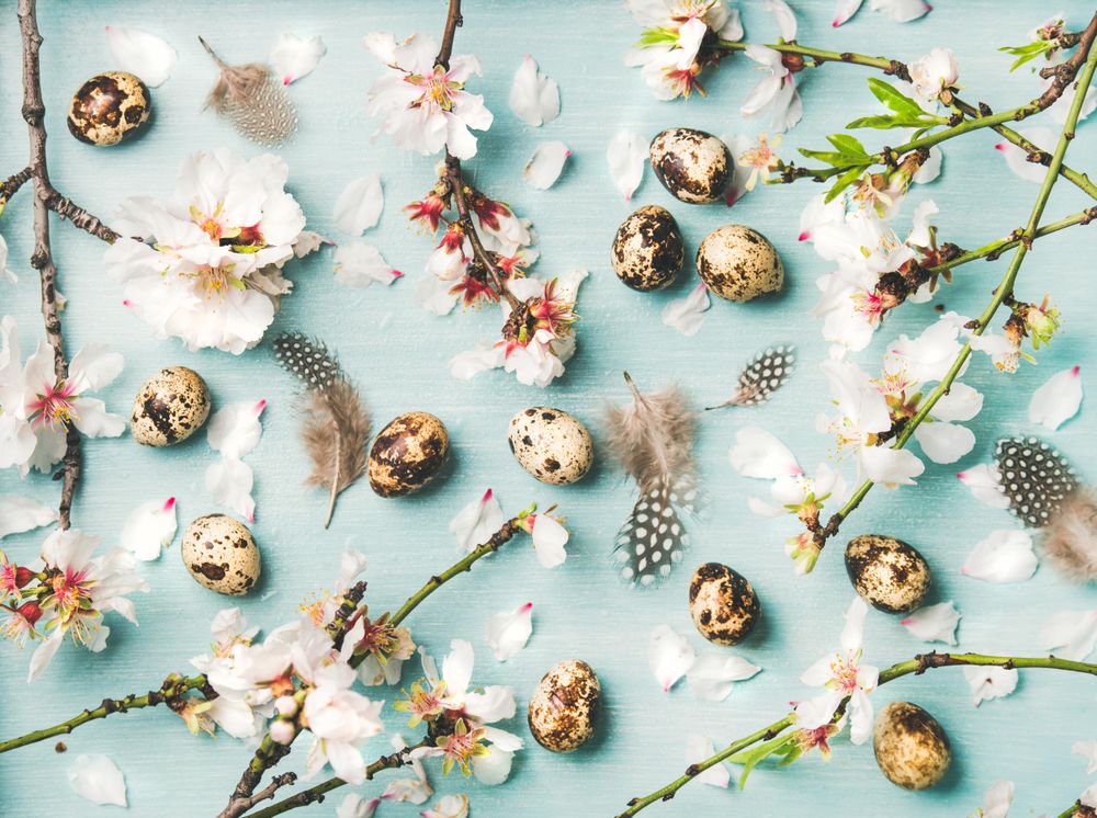 Easter holiday background or wallpaper
