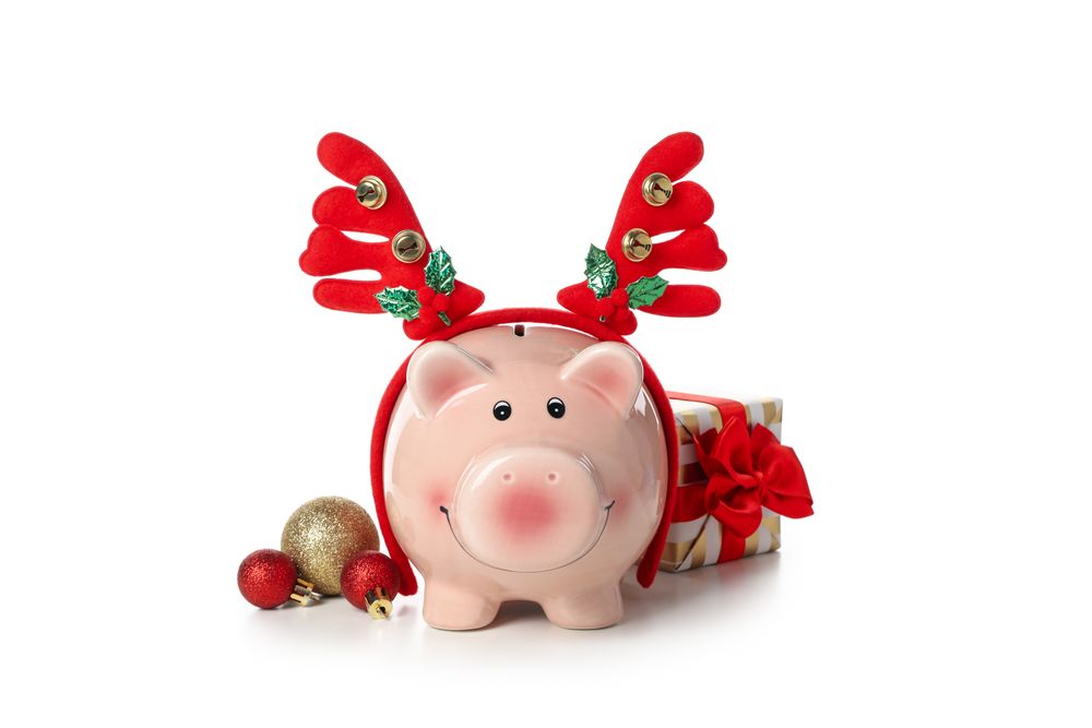 Concept of Christmas finance with piggy bank, isolated on light background