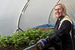 Older woman with plants in greenhouse