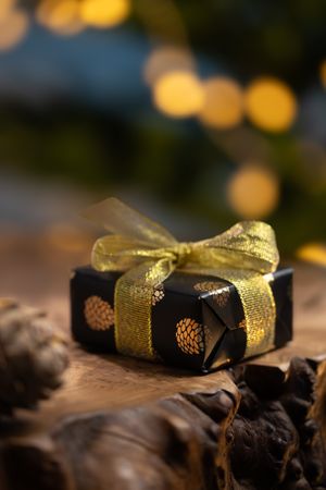 Christmas gift box with festive lights