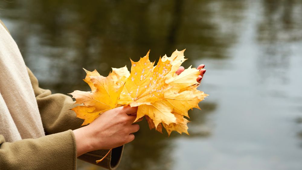 Woman during autumn season