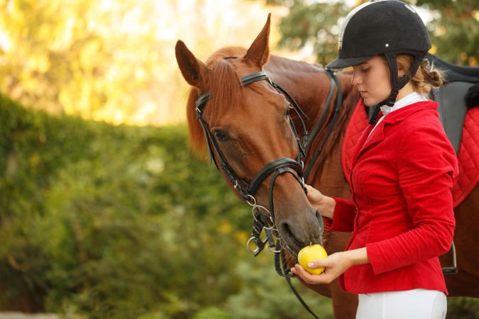Pedigree horse being fed by female horseback rider in red uniform