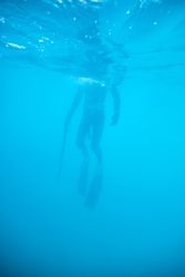 Anonymous diver spearfishing in blue sea water