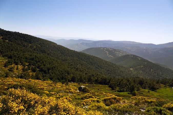 Picturesque landscape of green mountains in summer