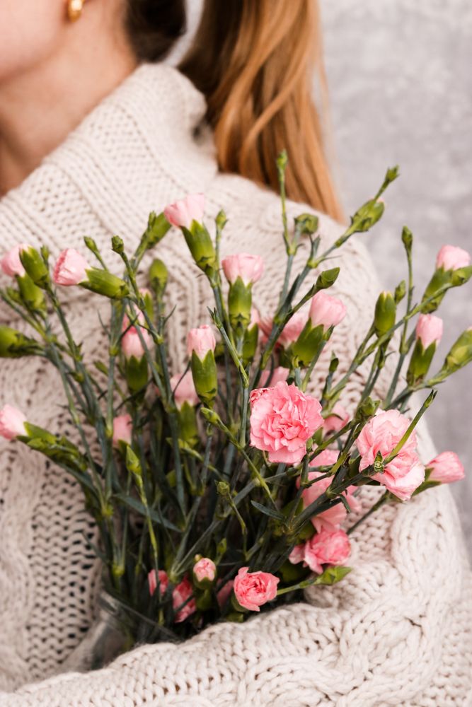 Cropped image of woman in knit sweater holding pink flowers