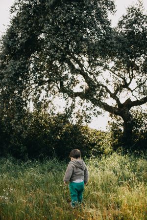 Young boy walking in tall grass