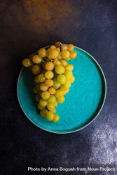 Plate of grapes on teal plate 4mWmYQ