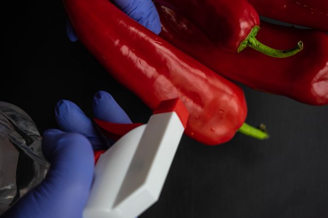 Hand spraying water on spicy fresh red peppers in protective gloves